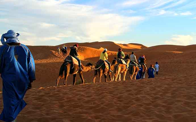 Camel and Desert Safari